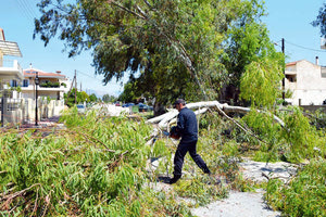 Νέος Κανονισμός Πρασίνου