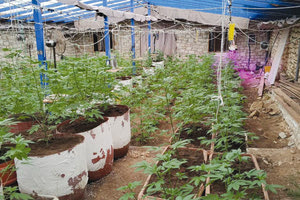 ΤΑ ΘΕΡΜΟΚΗΠΙΑ ΜΕ... ΧΑΣΙΣ ΑΝΤΙ ΤΟΜΑΤΕΣ