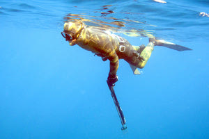 ΨΑΡΟΝΤΟΥΦΕΚΑΣ