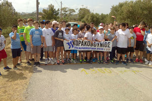 Κορακοβούνιος Δρόμος