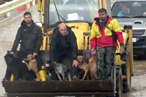 Άνθρωποι ηλικιωμένοι και ανήμποροι, μικρά παιδιά με τους γονείς τους, ακόμα και αδέσποτα αλλά και δεσποζόμενα ζώα σώθηκαν από τη θεομηνία