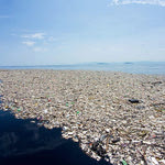 Δείτε όλα τα άρθρα από το χρήστη Εποχούμενος Περιπατητής