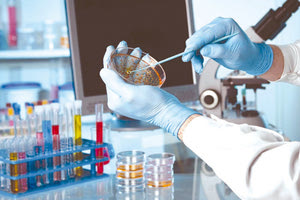 Ιατρικές εργαστηριακές εξετάσεις