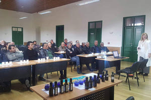 Σεμινάριο ελαιολάδου από την Proactive