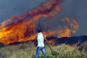 Κονδύλια για τις δασικές πυρκαγιές