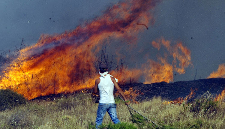 Υπό έλεγχο πυρκαγιά  στον Νεό Μύρτο της Ιεράπετρας