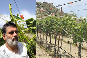 αμπελουργοί - ο συνδικαλιστής Μύρωνας Χιλετζάκης