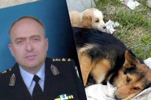 Ο αστυνομικός διευθυντής Ηρακλείου Νίκος Χρυσάκης για την καταπολέμηση των εγκλημάτων βίας απέναντι στα ζώα