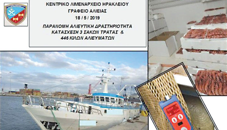 πλειοδοτικός διαγωνισμός για την εκποίηση 446 κιλών κόκκινης γαρίδας (ARS), που προέρχονται από κατάσχεση
