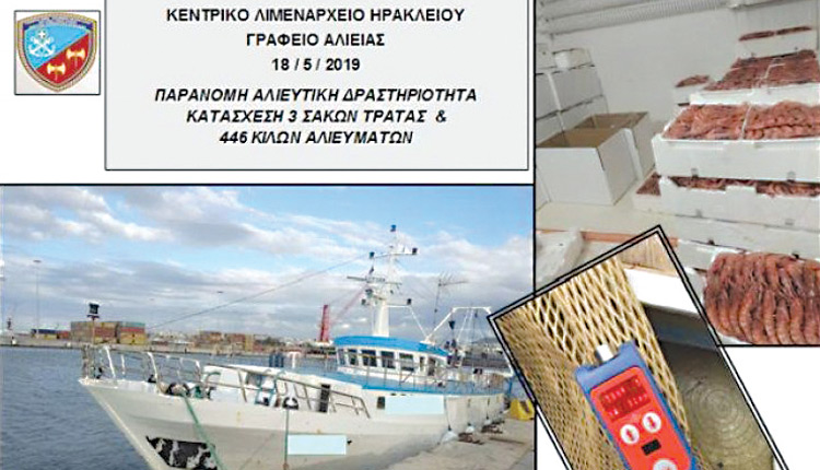 πλειοδοτικός διαγωνισμός για την εκποίηση 446 κιλών κόκκινης γαρίδας (ARS), που προέρχονται από κατάσχεση