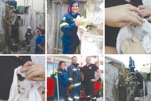 πυροσβέστες που έσωσαν γατάκι έχει εγκλωβιστεί σε εγκαταλελειμμένο σπίτι