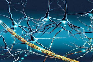 σκλήρυνση κατά πλάκας