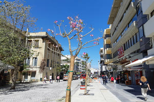 Ξεκίνησε η φύτευση των δέντρων στη Δικαιοσύνης