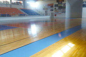 Ικανοποίηση στον Δήμο Φαιστού για χρηματοδότηση κλειστού γυμναστηρίου