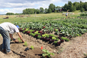 βιολογική καλλιέργεια