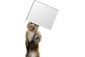 Η Ελλάδα χάνει 1,3 δισ. κάθε χρόνο από τα προϊόντα – «μαϊμού»