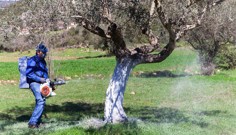 δακοκτονία