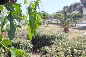 τα μοναδικά νεκροταφεία των Γερμανών, των Νεοζηλανδών και άλλων στο Μάλεμε Χανίων