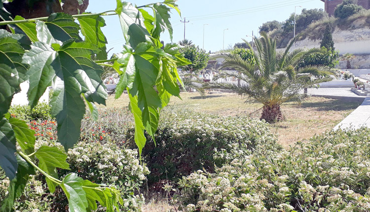 τα μοναδικά νεκροταφεία των Γερμανών, των Νεοζηλανδών και άλλων στο Μάλεμε Χανίων
