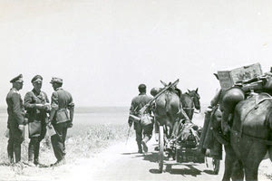 ΦΩΤΟ ΗΜΕΡΑΣ: Ο Στούντεντ δίνει οδηγίες...