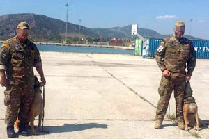 ΠΥΡΟΤΕΧΝΟΥΡΓΟΙ ΚΑΙ ΣΚΥΛΟΙ ΑΝΙΧΝΕΥΤΕΣ ΛΙΜΕΝΙΚΟΥ