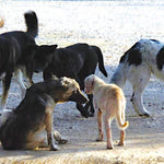 Δείτε όλα τα άρθρα από το χρήστη Κυριακή Μ. Παπαγεωργίου