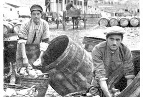 ΦΩΤΟ ΗΜΕΡΑΣ: Τα περίφημα κίτρα της Κρήτης