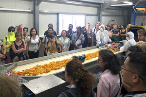 Το πρόγραμμα «Τροφή από Τρόφιμα» έχει ως στόχο την ανακύκλωση των τροφίμων