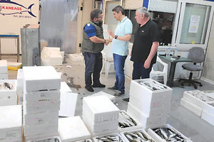 Από τη συνάντηση στην ιχθυαγορά