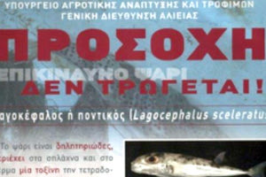 ΛΑΓΟΚΕΦΑΛΟΣ