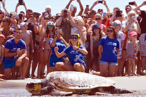 Η επιστροφή του Wallace στη θάλασσα του Ρεθύμνου την 1η Ιουλίου ήταν μια συγκινητική δημόσια εκδήλωση του ΑΡΧΕΛΩΝ