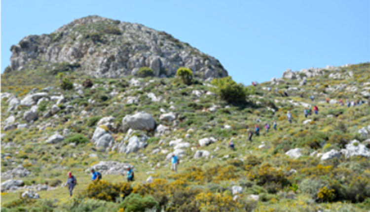 Βιωματικό σεμινάριο υπαίθριας διαβίωσης