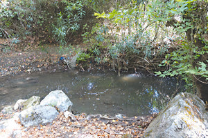 Στον βιολογικό καθαρισμό του Βενεράτου...