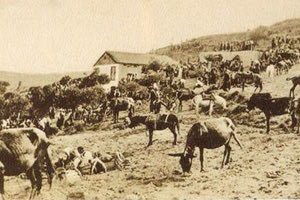 ΦΩΤΟ ΗΜΕΡΑΣ: Όταν στο πανηγύρι πήγαιναν με τα υποζύγια