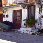 Δείτε όλα τα άρθρα από το χρήστη Κατερίνας Μακρογιαννάκη