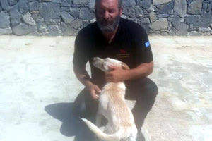 επιχείρηση στήθηκε για να σωθεί ένα σκυλάκι από τα αφρισμένα κύματα  και τα κοφτερά βράχια, στον Καράβολα.