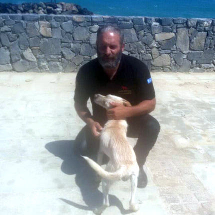 επιχείρηση στήθηκε για να σωθεί ένα σκυλάκι από τα αφρισμένα κύματα  και τα κοφτερά βράχια, στον Καράβολα.