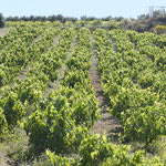 Δείτε όλα τα άρθρα από το χρήστη Γεωργίος Καβρος