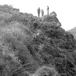 Δείτε όλα τα άρθρα από το χρήστη Άννα Μανουκάκη-Μεταξάκη