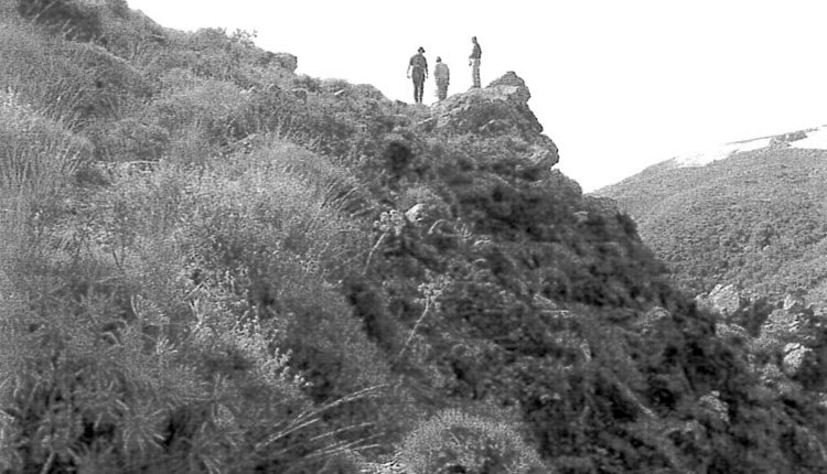 Εικόνα από τα Αστερούσια