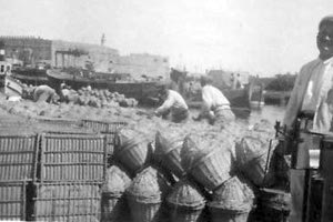 ΦΩΤΟ ΗΜΕΡΑΣ: Το φόρτωμα των προϊόντων στο λιμάνι