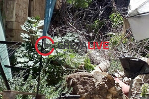 ένα δέντρο, άγνωστο πώς, έπεσε πάνω στο Τρανταλίδειο