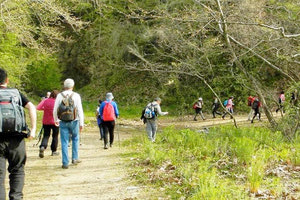 Λαγουδιανός Περίπατος