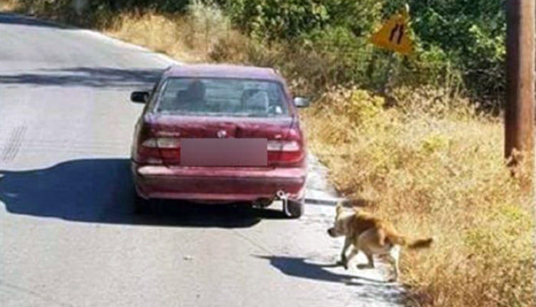 Συνέλαβαν τον ηλικιωμένο που έσερνε τον σκύλο του με το αυτοκίνητό