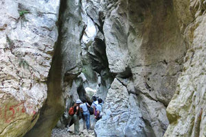 Το φαράγγι της Άρβης