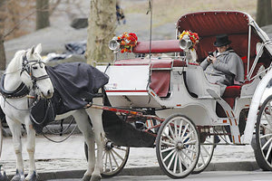 Αντιτίθεται στις ιππήλατες άμαξες η Ηράκλεια Πρωτοβουλία