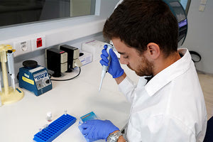 ΙΔΡΥΜΑΤΑ ΤΗΣ ΚΡΗΤΗΣ