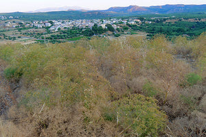 ΑΡΚΑΔΕΙΑ 2019