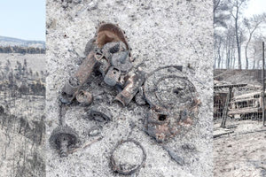 αποκαΐδια της Εύβοιας