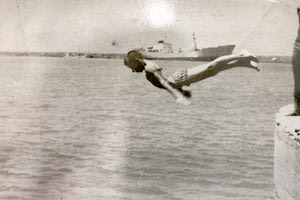 φωτογραφία στο παλιό καρνάγιο